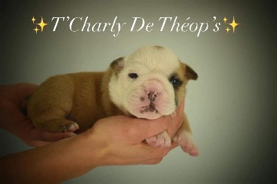 T CHARLY De Théop s