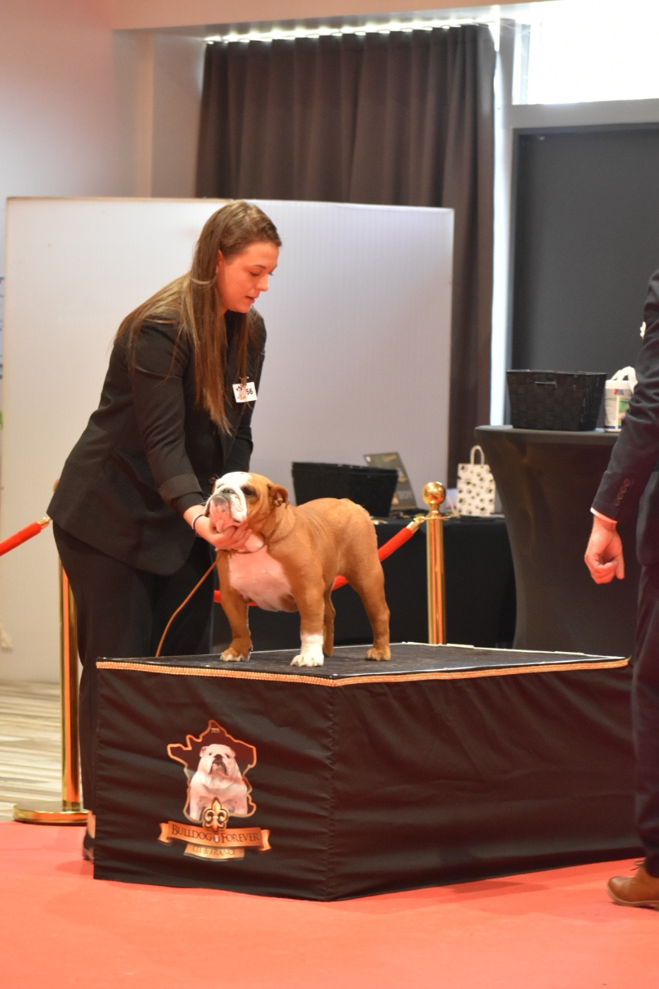 ARYA STARK de Théop's