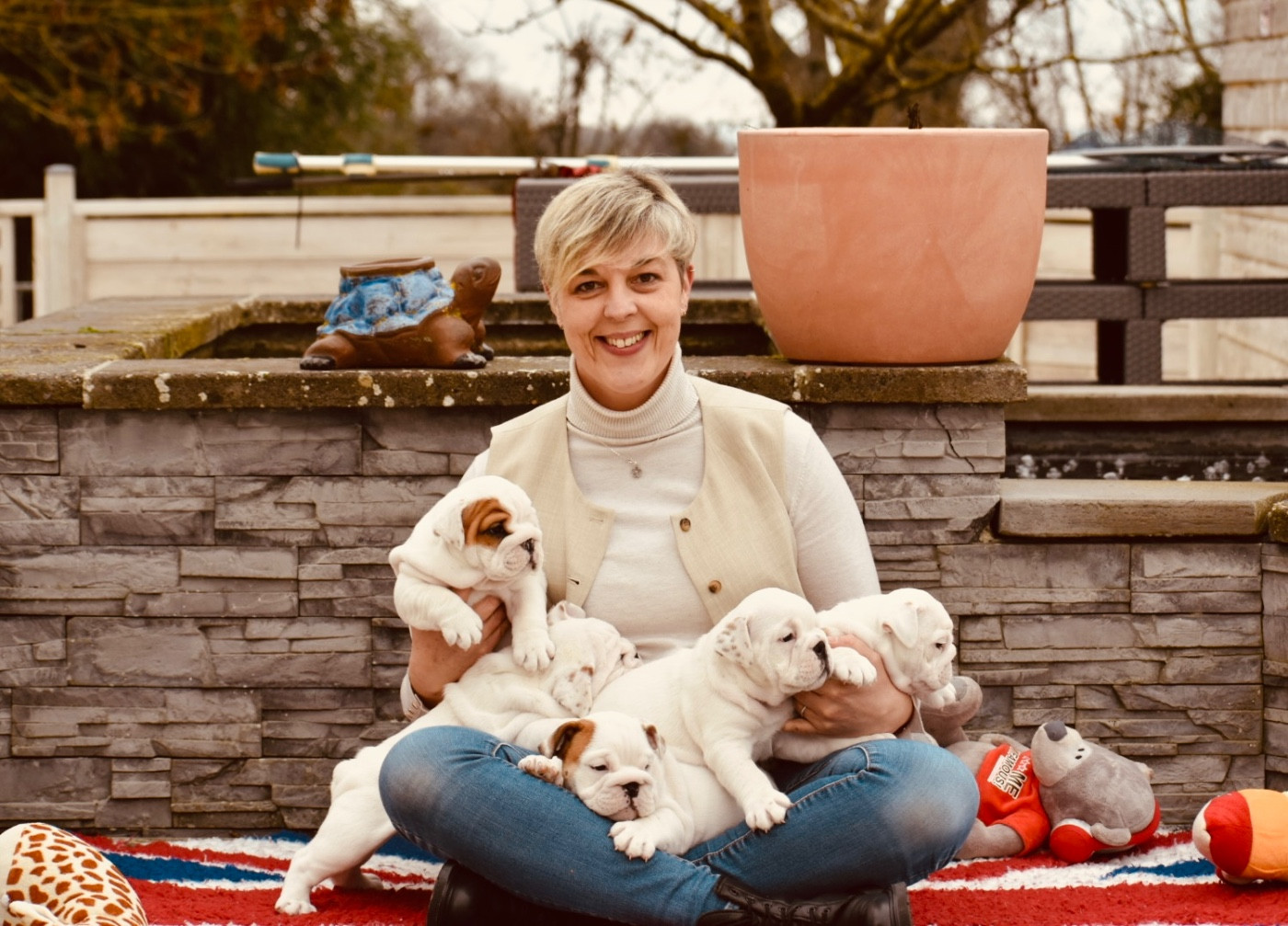 Chiot Bulldog Anglais de Théop's